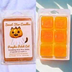 Jelly Gel Wax Melt Pumpkin Patch Cat Scented Extra Large